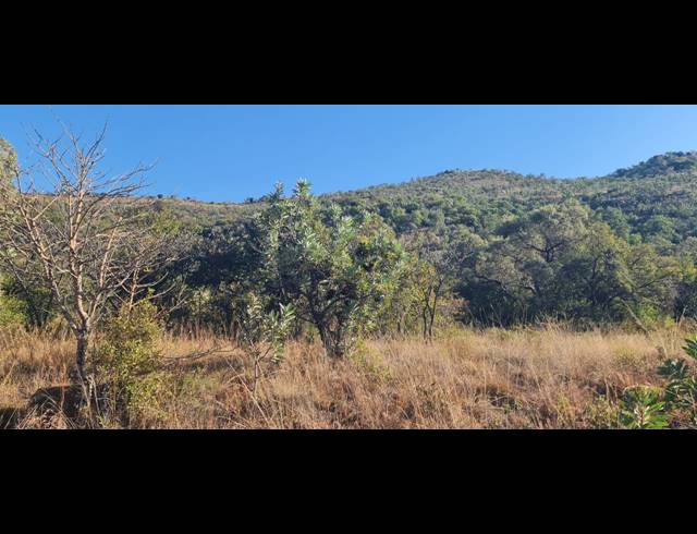 78HA VACANT LAND FOR SALE IN BUFFELSFONTEIN AH